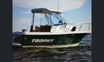 Trophy 2052 WA C / certificate-kuva-1