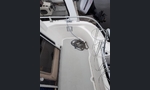 TG 7200 King Cruiser-kuva-2