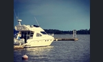 Cranchi Atlantique 40-kuva-6