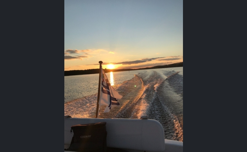 Bayliner 265 SB-kuva-5