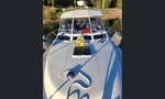 Scand 3000ht-kuva-6