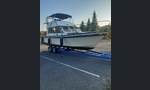Sunmar Sunstar Flybrigde-kuva-1