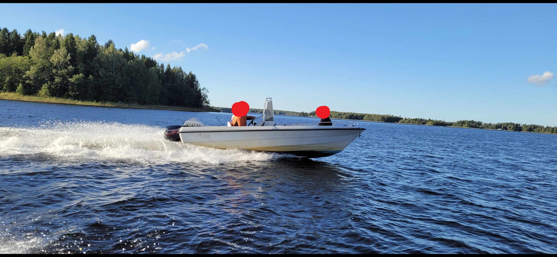 Delfin 570