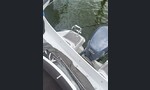 Finnmaster F68DC-kuva-5
