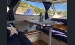 Bella Falcon 26
