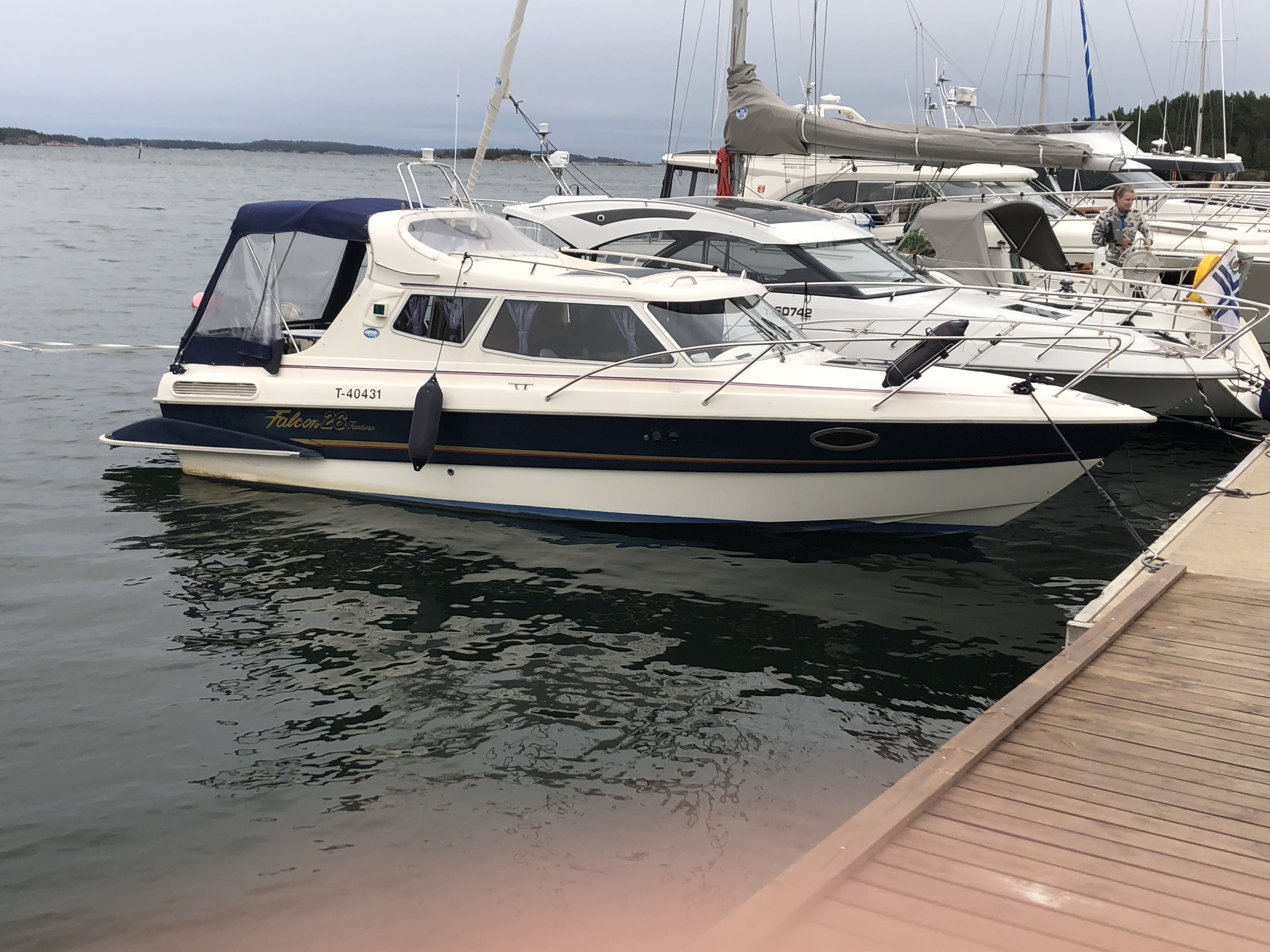 Bella Falcon 26