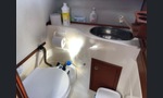 Bella Falcon 26
