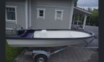 Lindqvist 495cm avovene