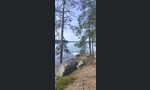 Särki 570 Cabin Yamaha 70 hp nelitahti Särki 570 Cabin