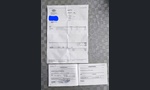 Yamarin 44SC